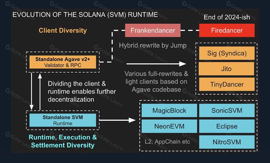 Solana 需要 L2 和 Appchains 吗?