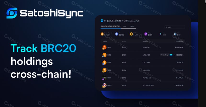 什么是SatoshiSync(SSNC)?