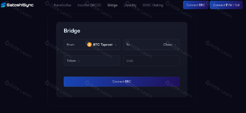 什么是SatoshiSync(SSNC)?