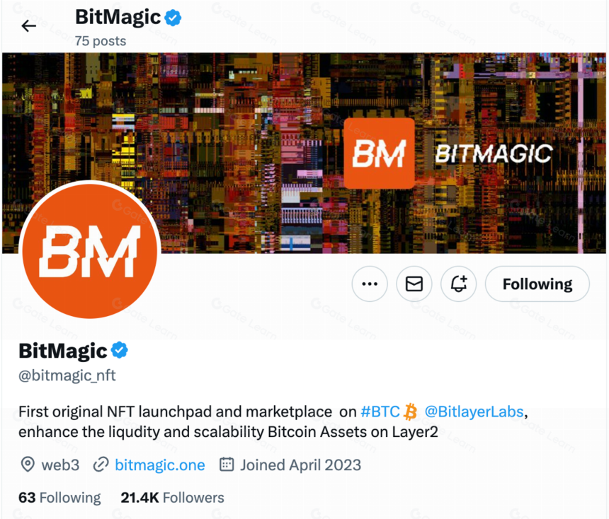 Bitlayer 生态项目盘点