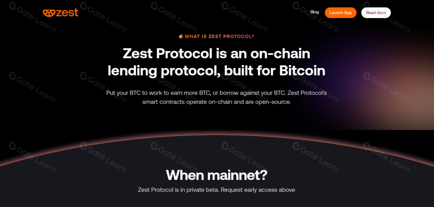 优质比特币 DeFi 项目