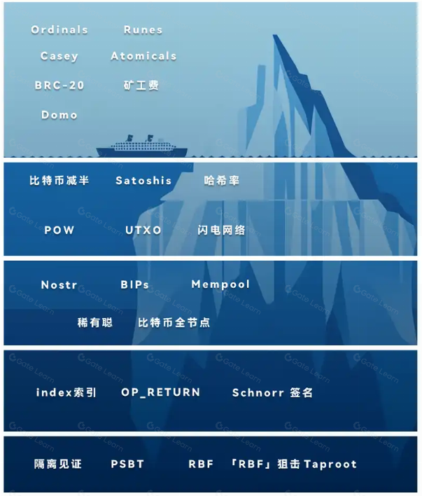 你在比特币生态知识金字塔的第几层呢?