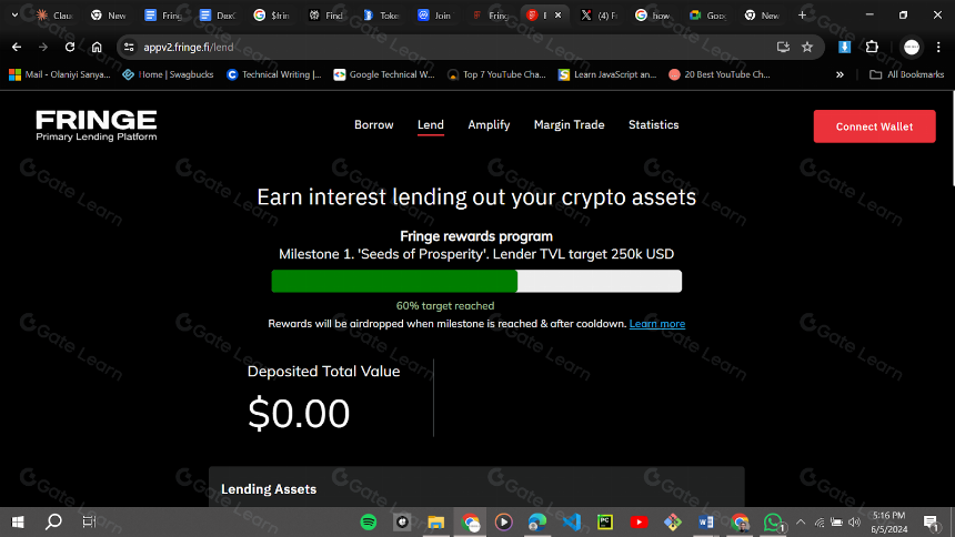 Fringe Finance 是什么？一文读懂FRIN 