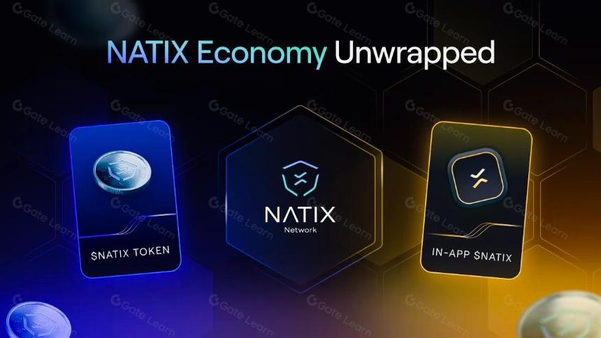 什么是 NATIX Network：首个由 DePIN 和司机社区支持的 AI 动态地图