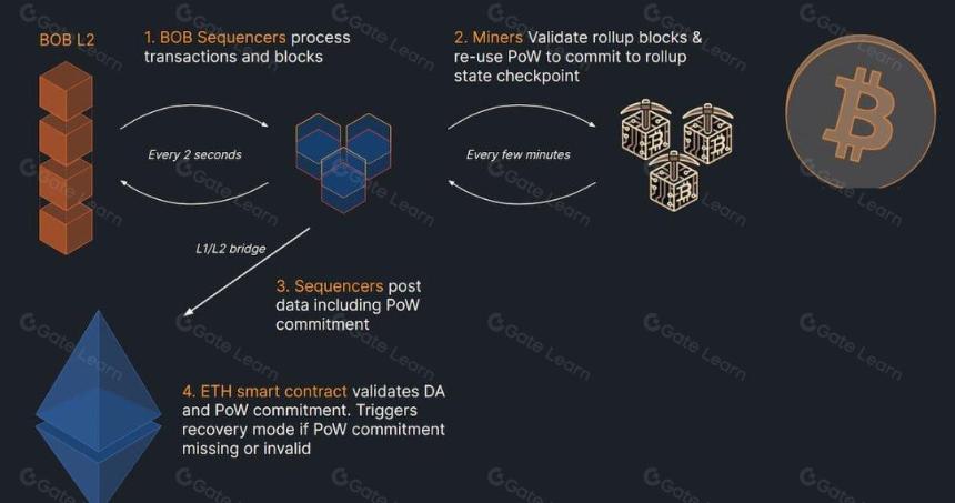 速览混合 L2 BOB:合并挖矿,融合比特币安全性与 EVM 流动性