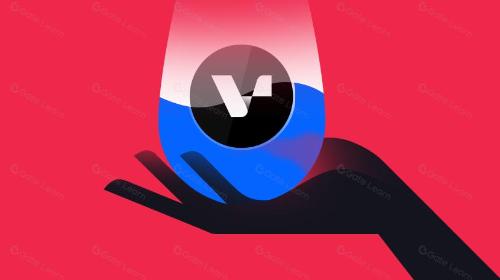 什么是 Vertex 协议?