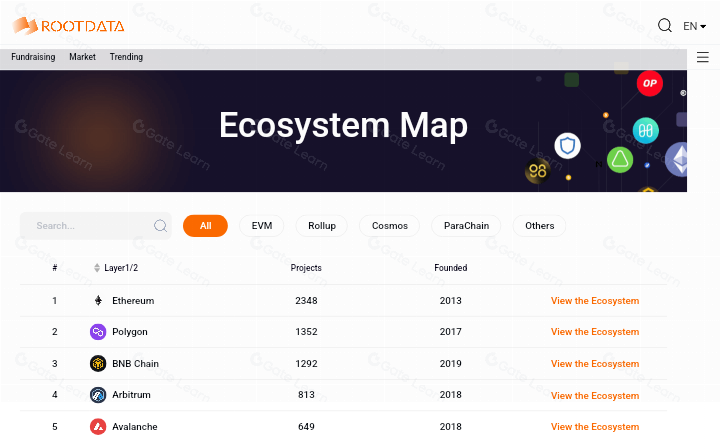 探索区块链世界:Rootdata如何革新Web3数据分析