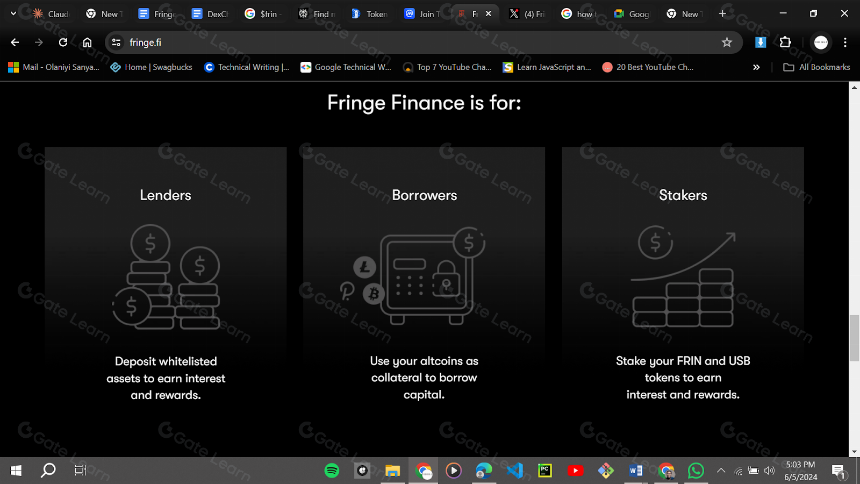 Fringe Finance 是什么？一文读懂FRIN 