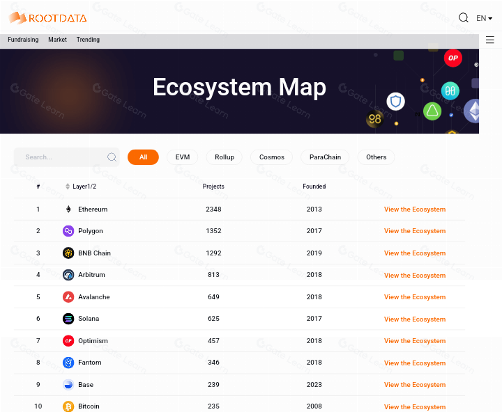探索区块链世界:Rootdata如何革新Web3数据分析