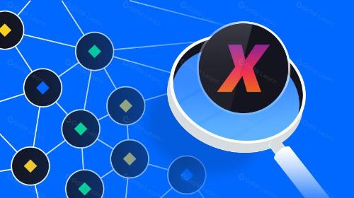 XCAD网络全方位解析