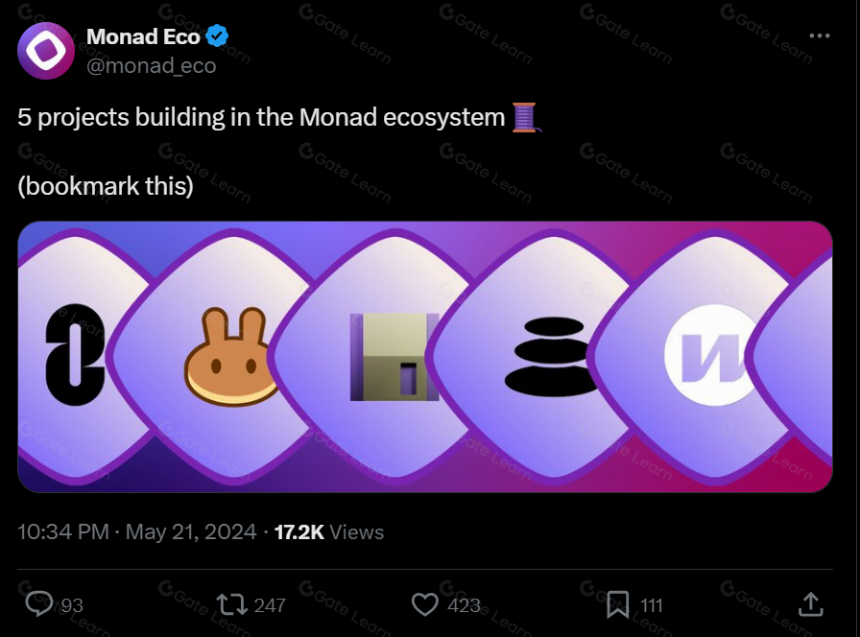 莫纳德（Monad）详细指南及潜在空投机会