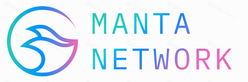 全面解读 Manta Network (MANTA)