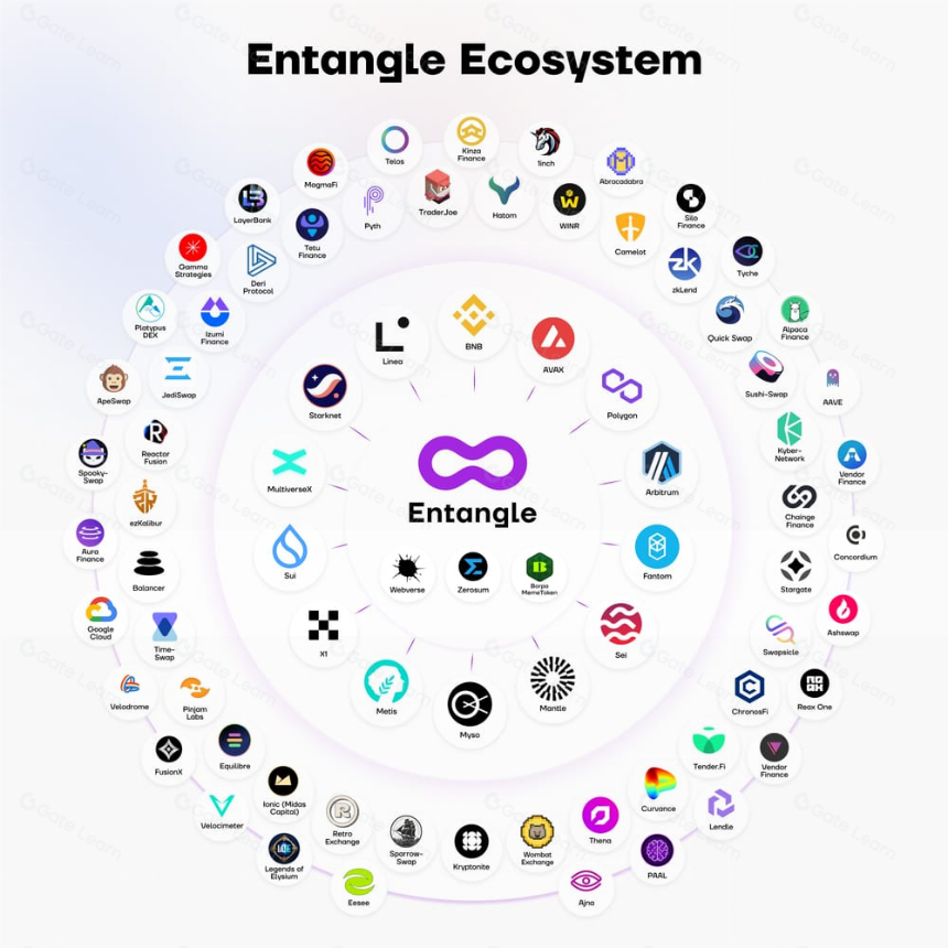 深入 Entangle：全链叙事不止于基建，直面应用场景的拓荒者