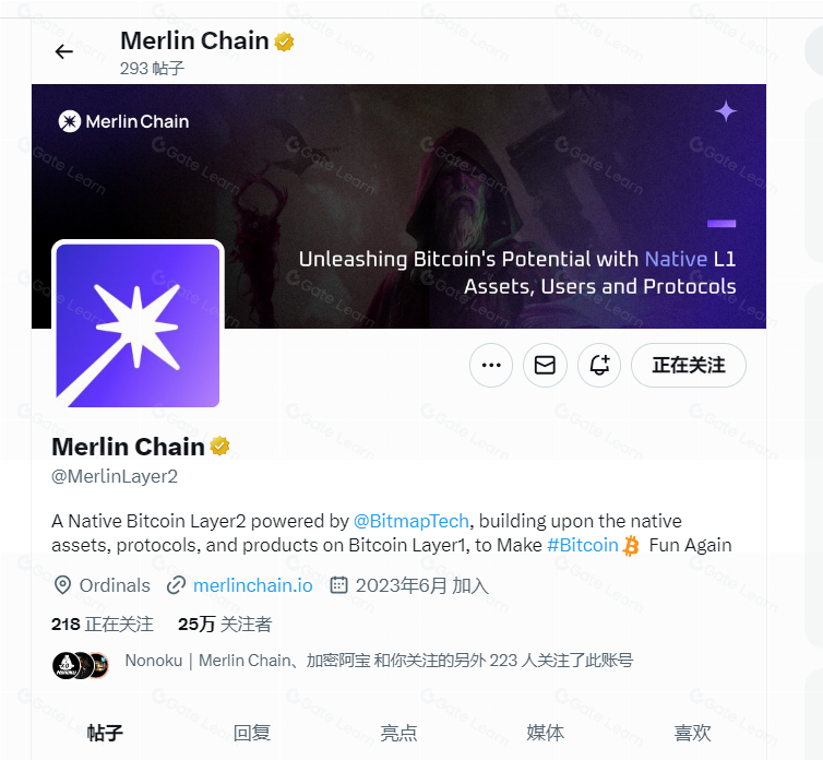 14个顶级项目，0-1时他们到底做对了什么？