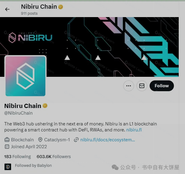 多链衍生品DEX-NIBI怎么样?