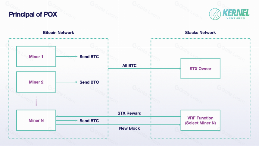 比特币生态系统的高涨——其应用层的全景视图