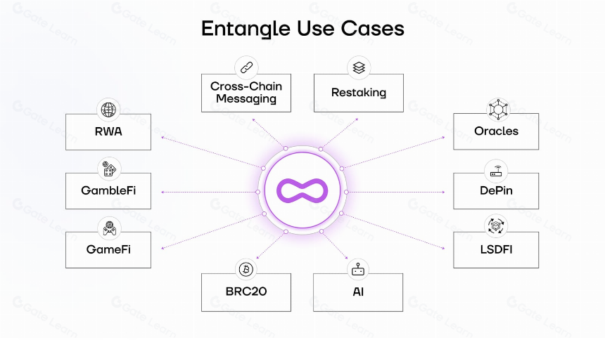 深入 Entangle：全链叙事不止于基建，直面应用场景的拓荒者