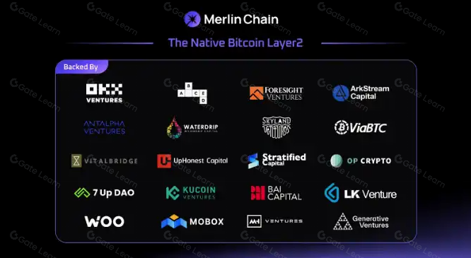 深入剖析Merlin Chain的迅速崛起