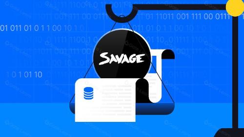 什么是SAVG? 