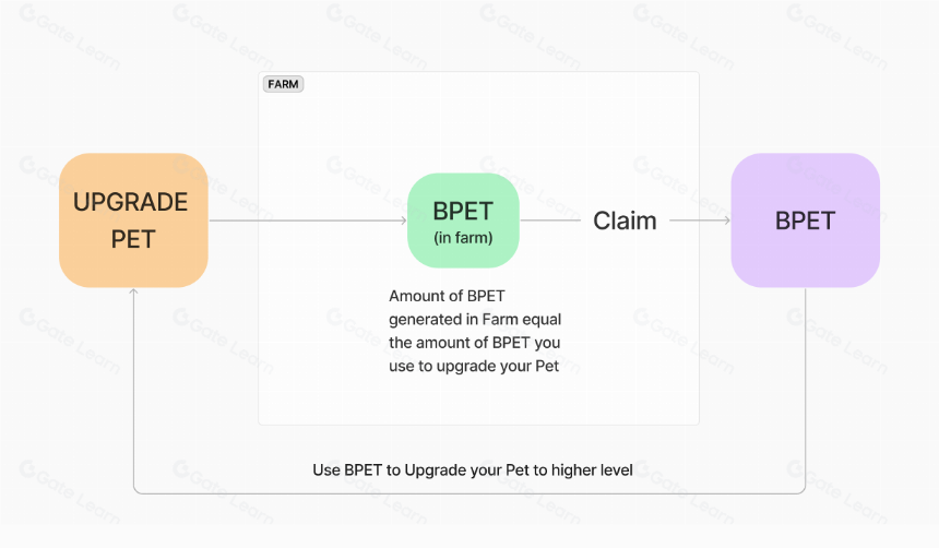 什么是 xPET?