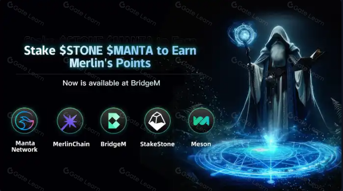 深入剖析Merlin Chain的迅速崛起