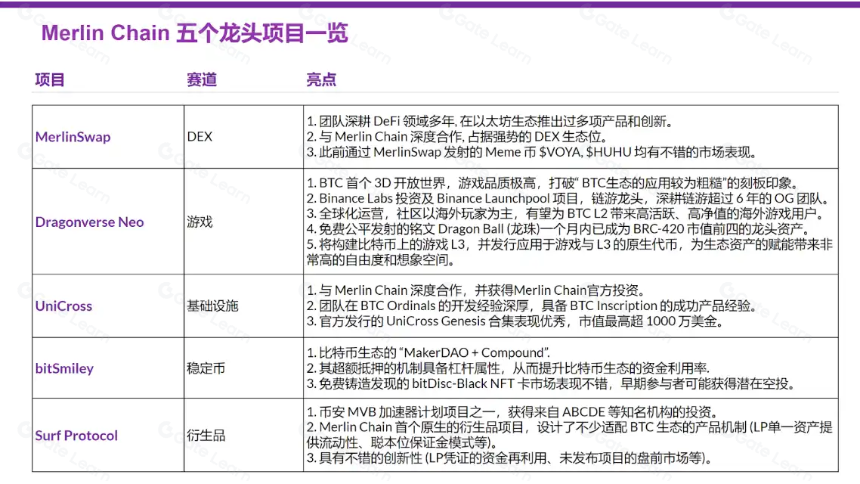 一文读懂Merlin Chain的五个王牌项目