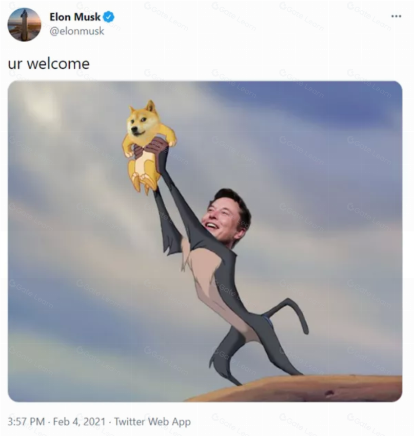 如何打造成功的 MEME?