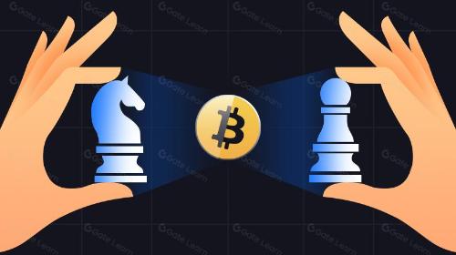 Spartan Group：深入探讨比特币演进的生态系统（三）
