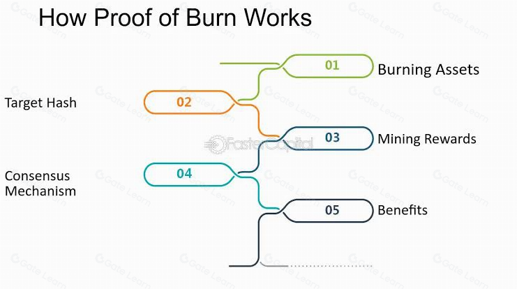 什么是燃烧证明（Proof-of-Burn）？