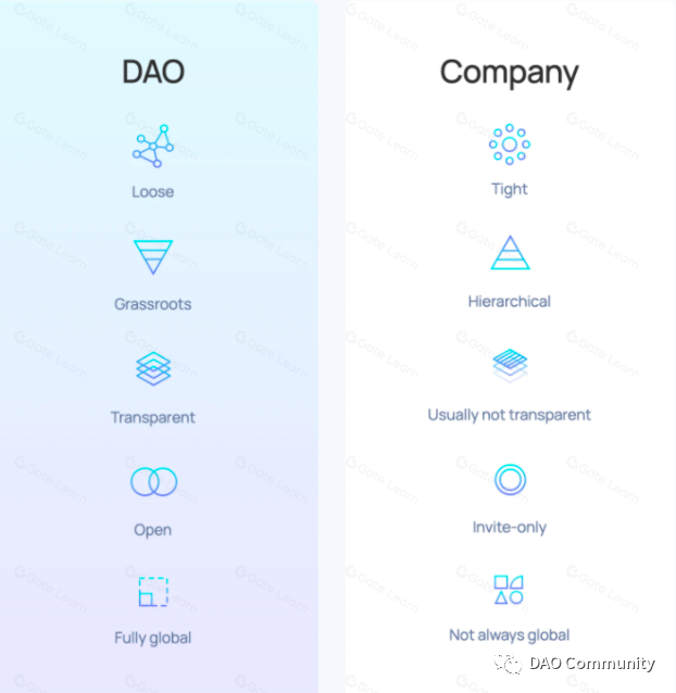 深度剖析DAO