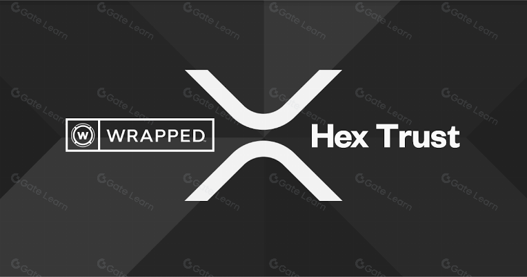 了解打包式XRP (wXRP) 及其工作原理
