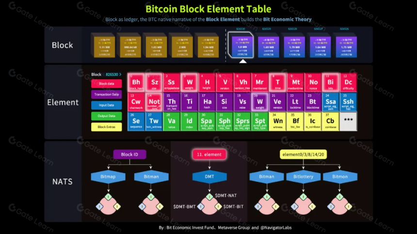 比特原生经济学——牛市背后的规律