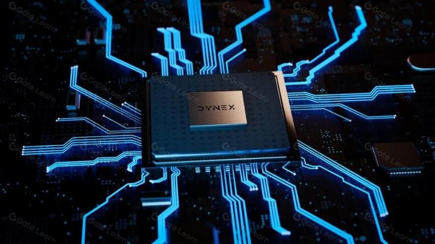 什么是 Dynex (DNX)？