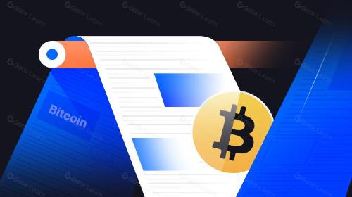 数字黄金新征程:探索比特币多元化生态与协议创新