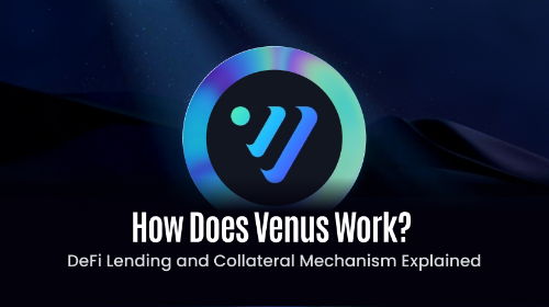 Venus 如何运作? DeFi 借贷与抵押机制解析
