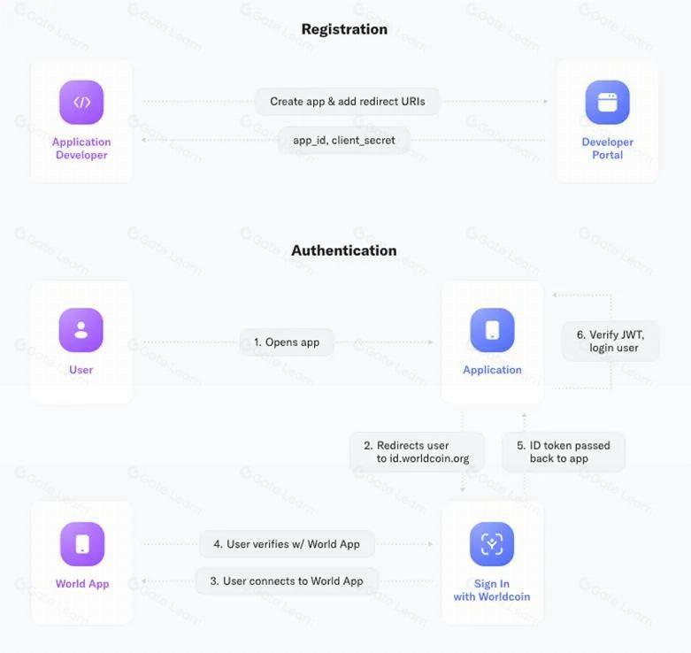 头等仓研报:UBI经济学 Worldcoin