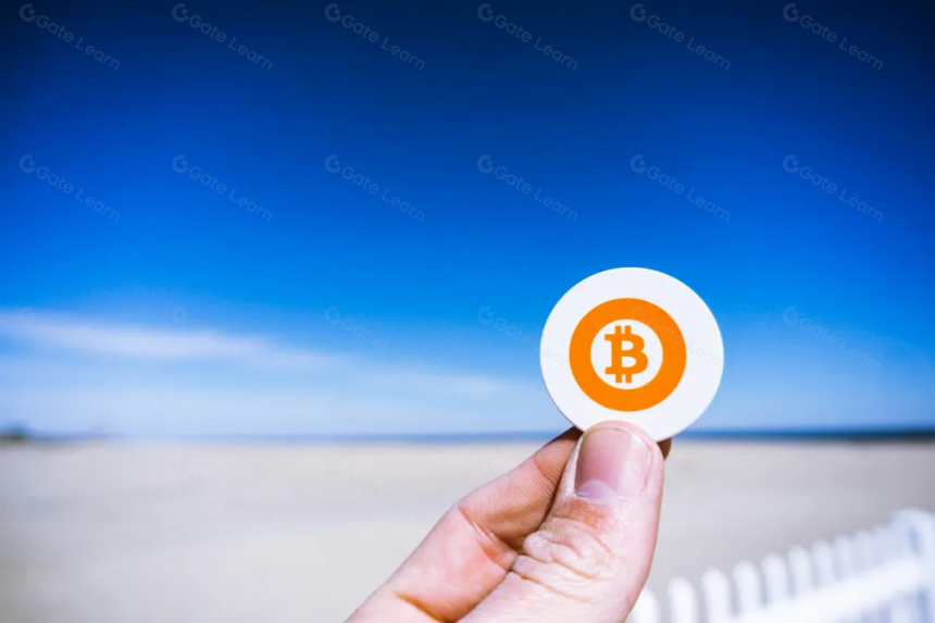 比特原生经济学——牛市背后的规律