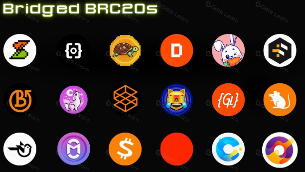比特币生态系统的高涨——其应用层的全景视图