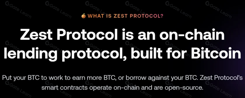 Stacks的顶级DeFi项目和比特币经济