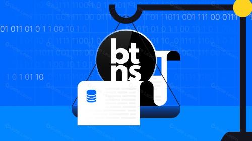 什么是Broadcast Token Naming System(BTNS)