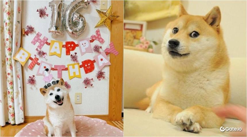什么是狗狗币?