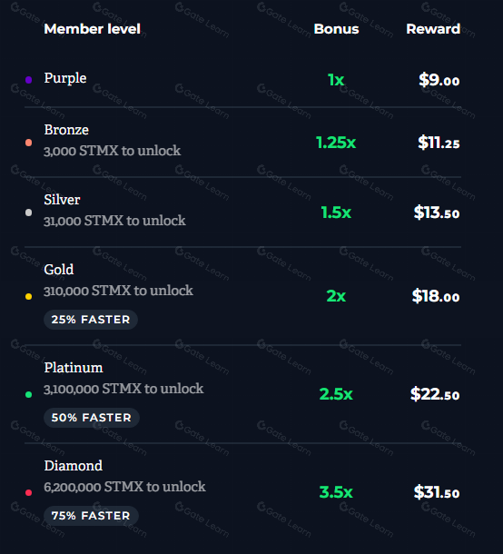 什么是 StormX? 一文带你认识 STMX