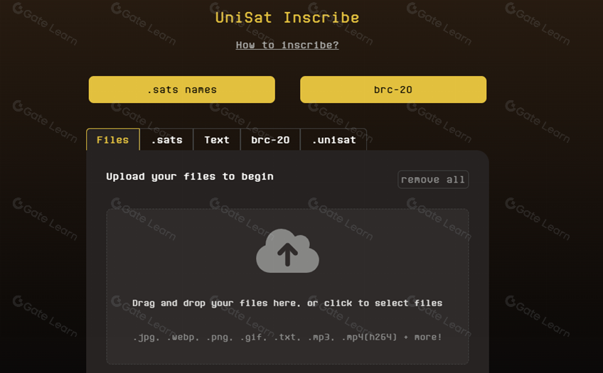 什么是 UniSat Wallet ?