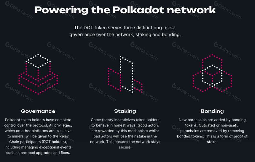 ​​什么是Polkadot？