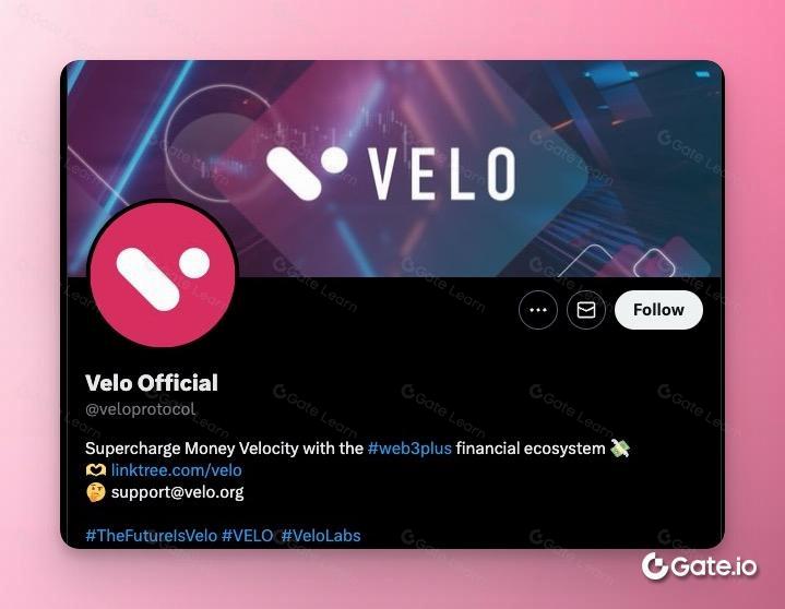 什么是 Velo？