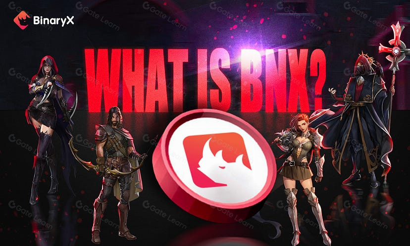了解BinaryX及其工作原理
