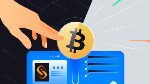 什么是 UniSat Wallet ?