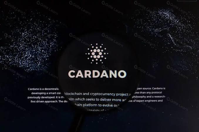 深度解析Cardano新技术——Warp交易
