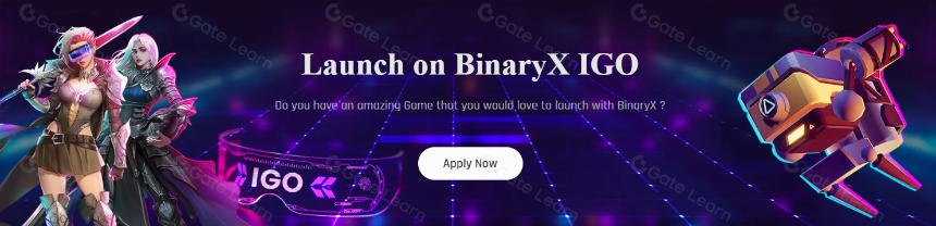 了解BinaryX及其工作原理