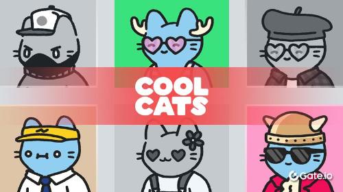 什么是 Cool Cats?